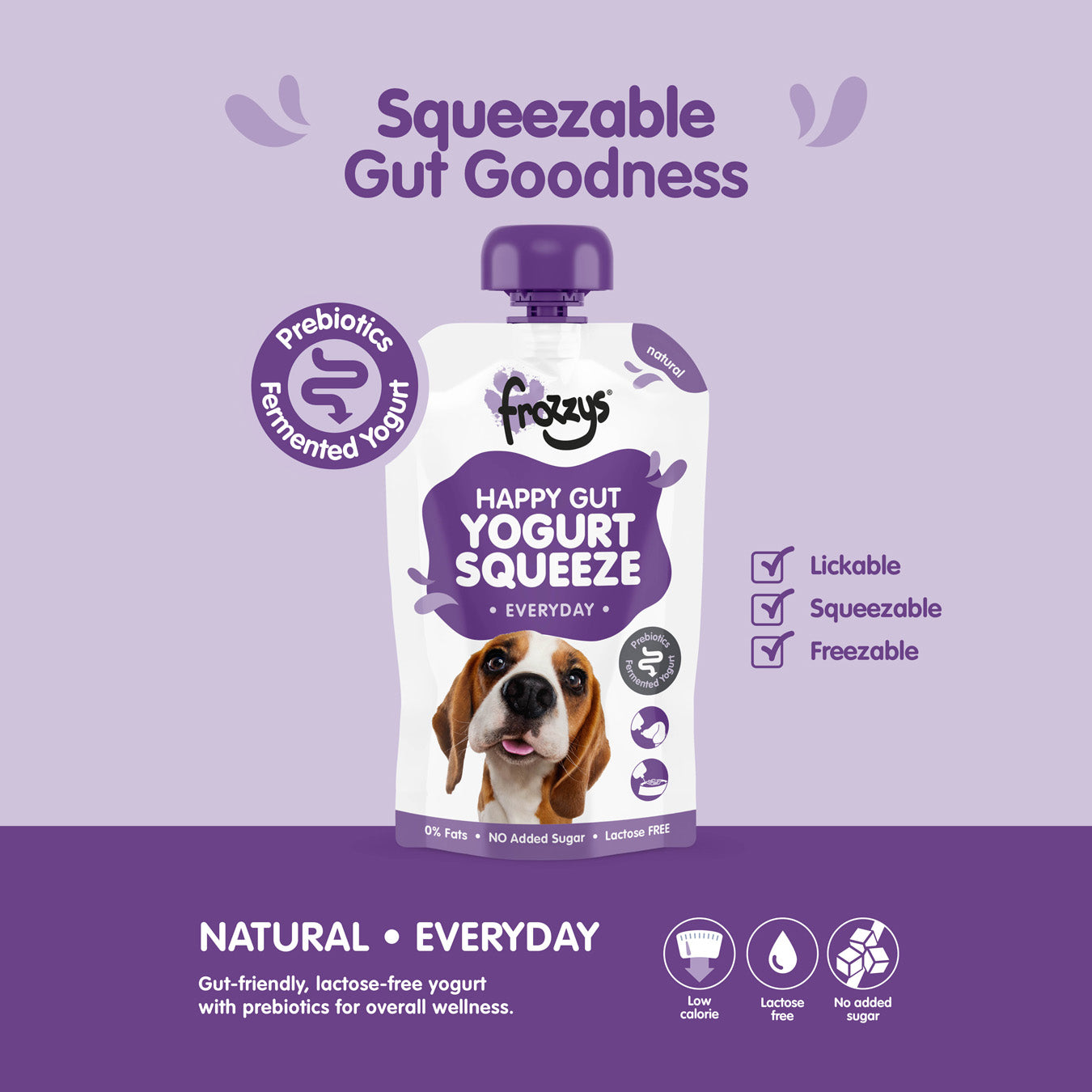 Frozzys Happy Gut Yogurt Squeeze – Natural