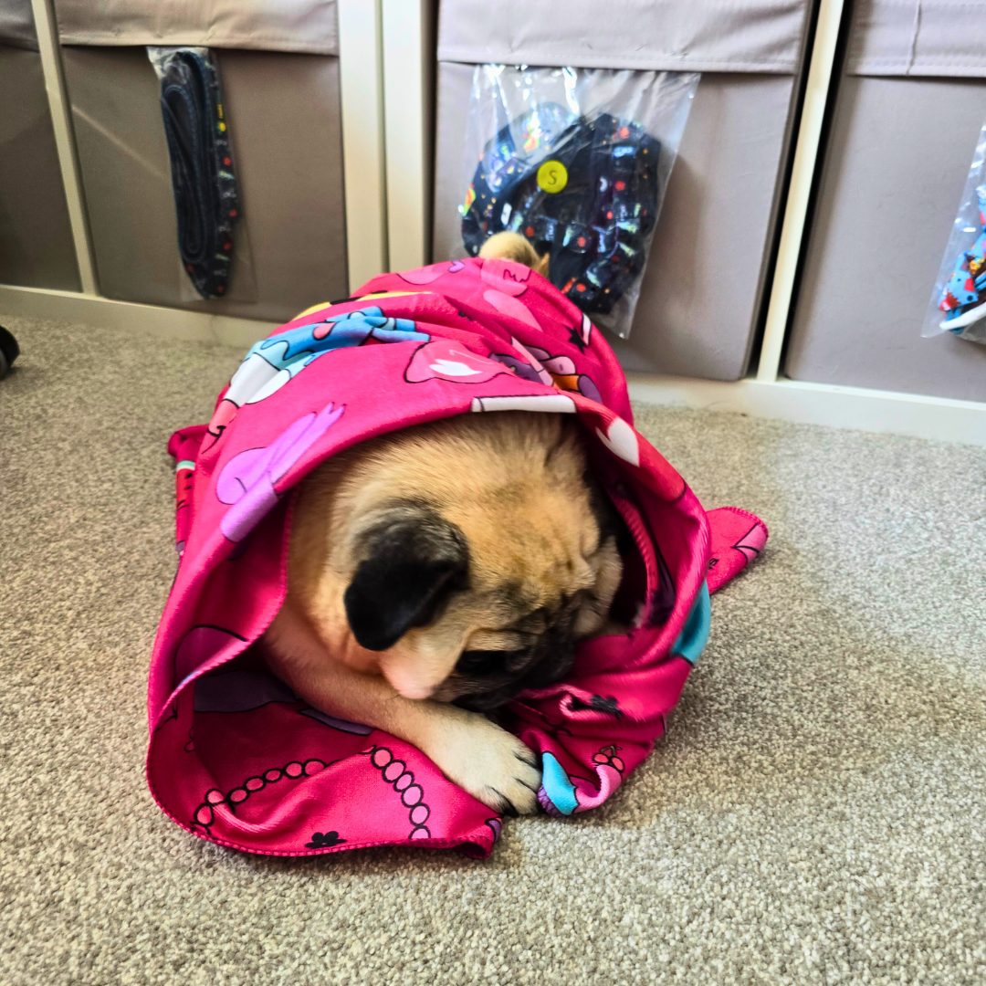 Dog Towel - Girl's BFF's
