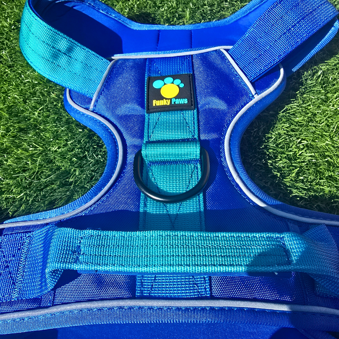 Blue Ultimate Strength Harness – Built for Power, Designed for Comfort