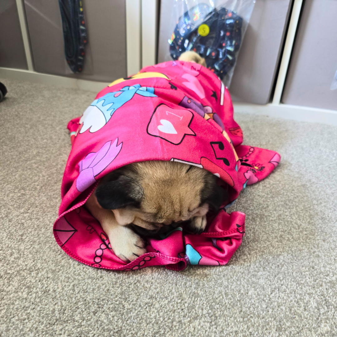 Dog Towel - Girl's BFF's