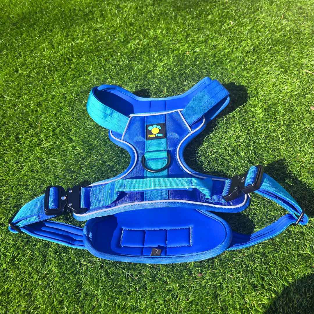 Blue Ultimate Strength Harness – Built for Power, Designed for Comfort