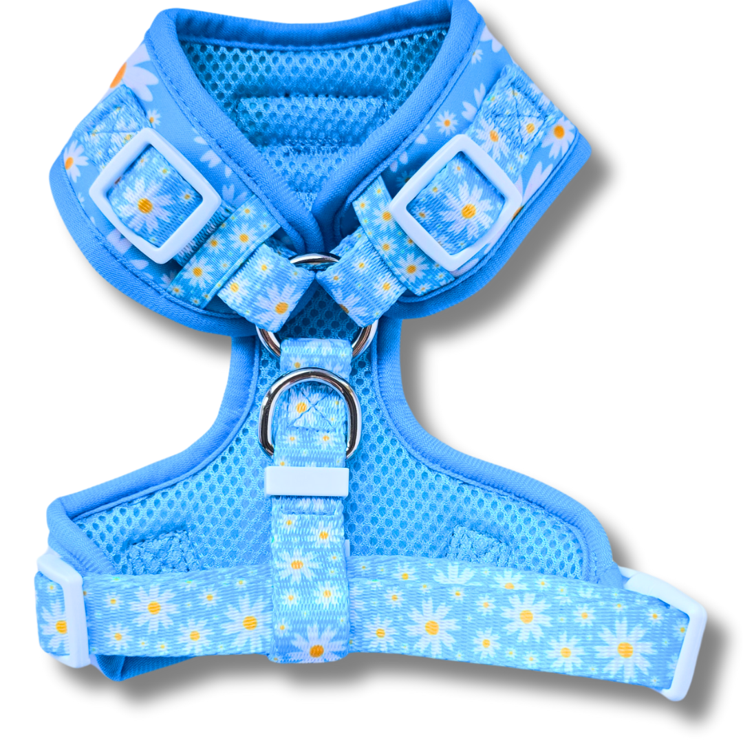 Adjustable Harness - Cool Daisy