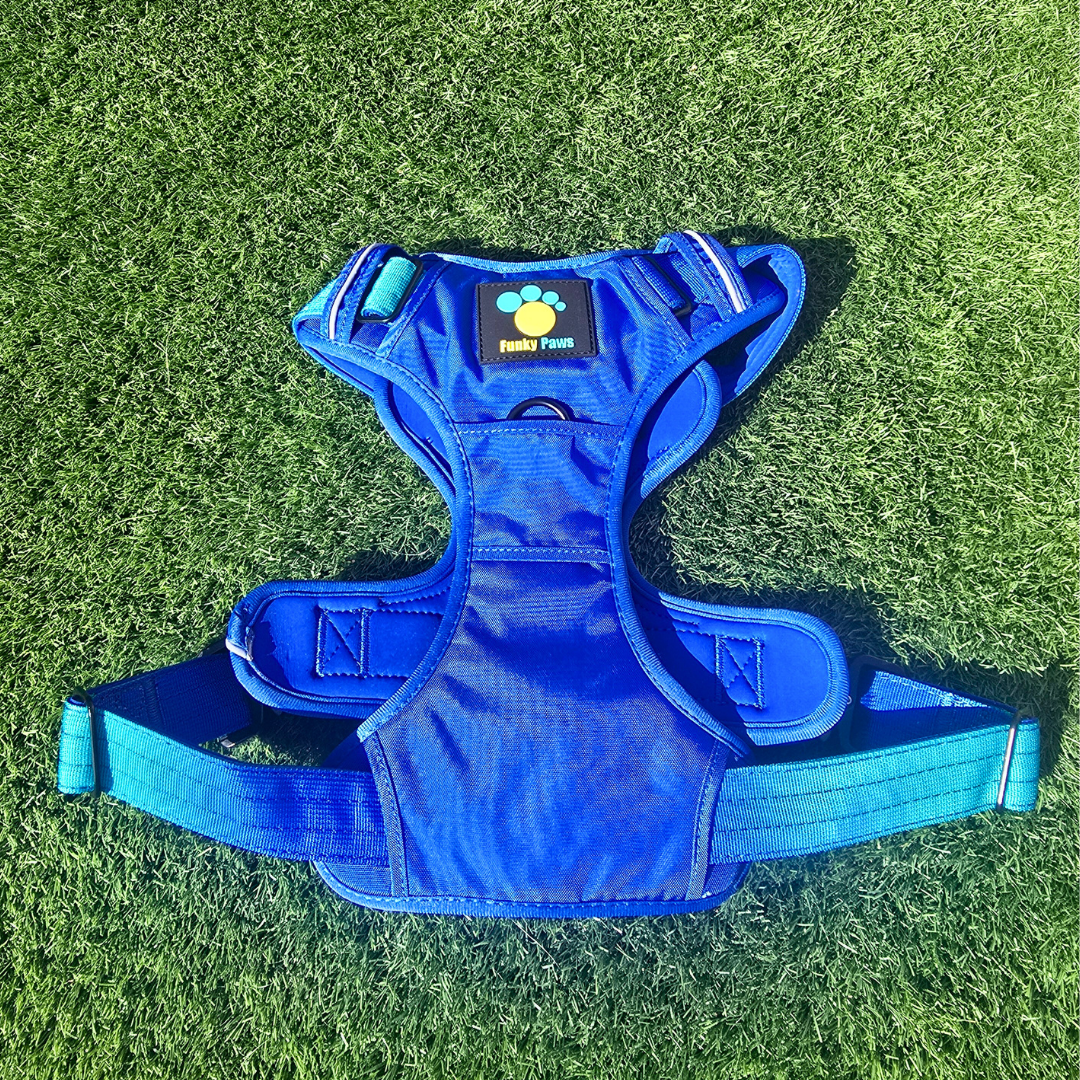 Blue Ultimate Strength Harness – Built for Power, Designed for Comfort