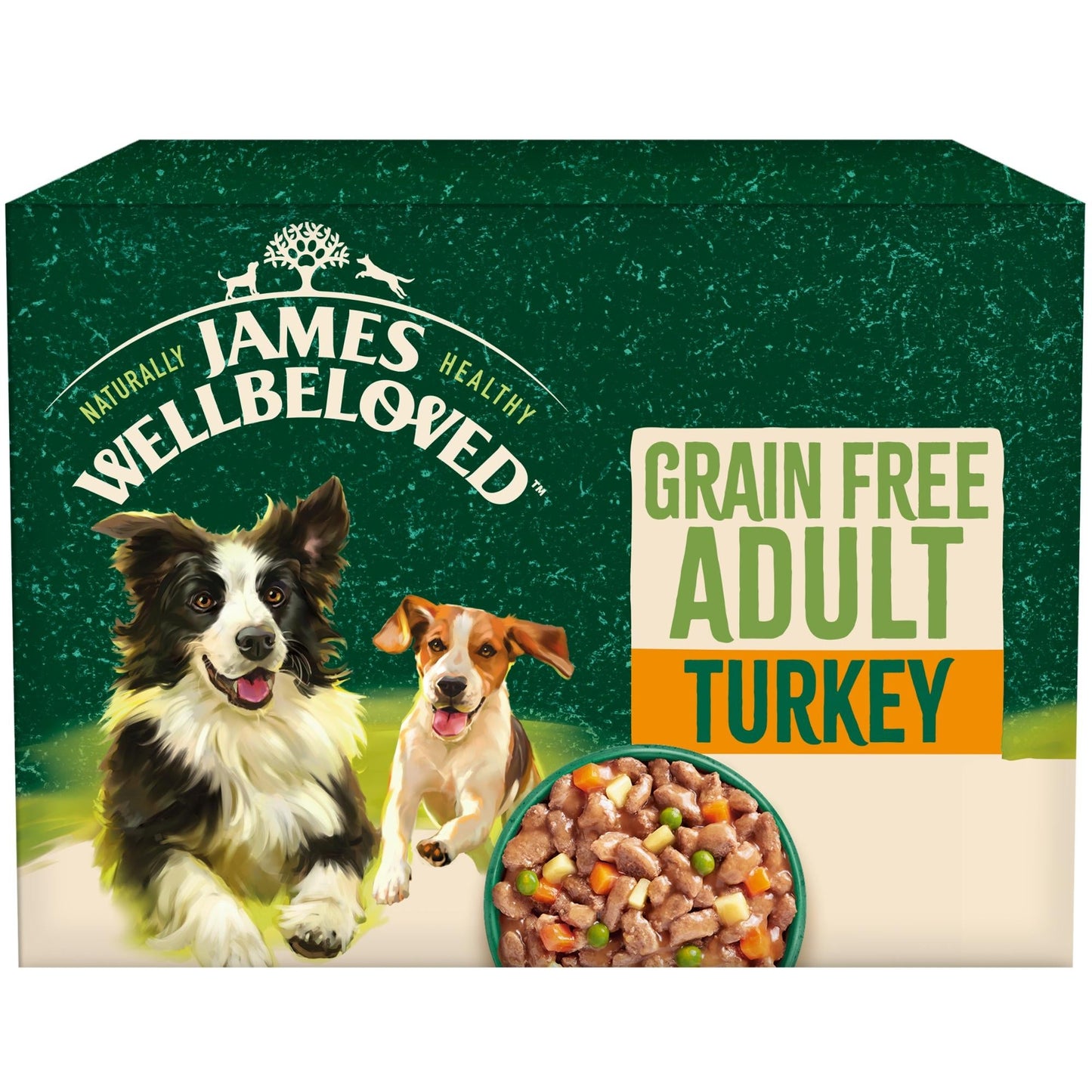 James Wellbeloved Adult Turkey grain free wet dog food pouches
