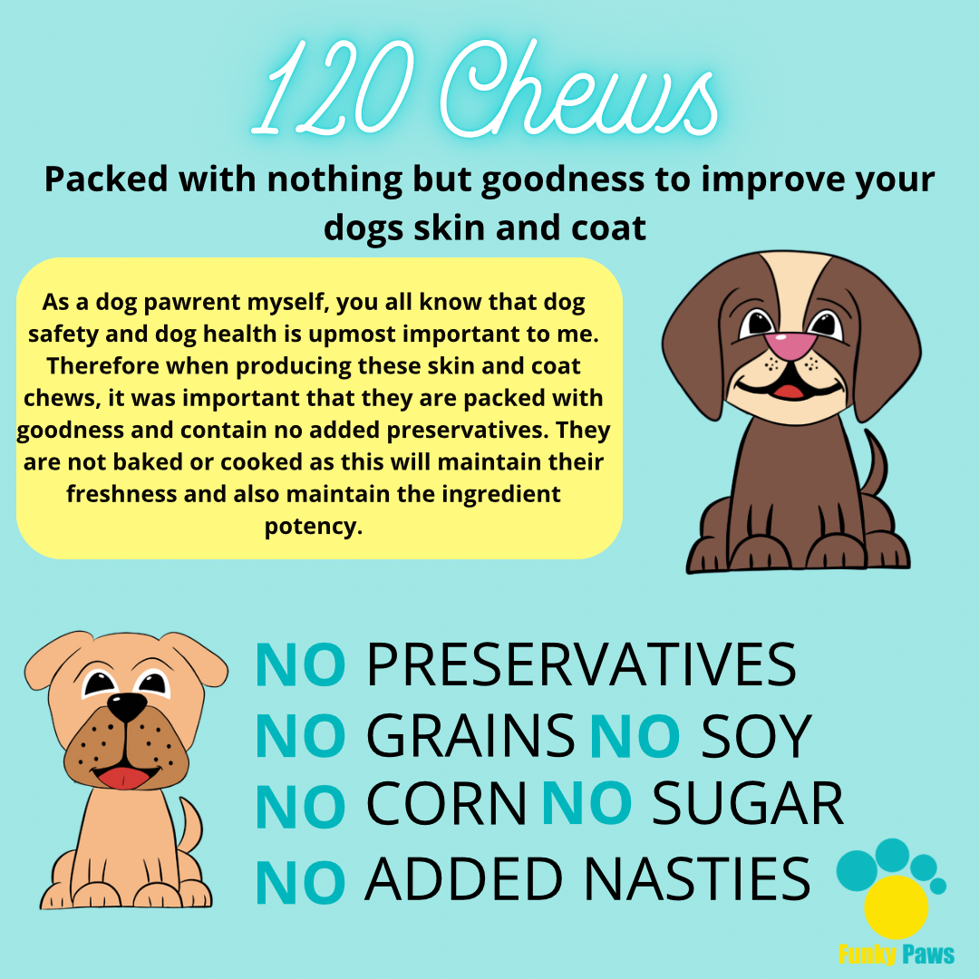 Skin & Coat Chews for Dogs | Shiny Coat Supplement UK | Funky Paws Co