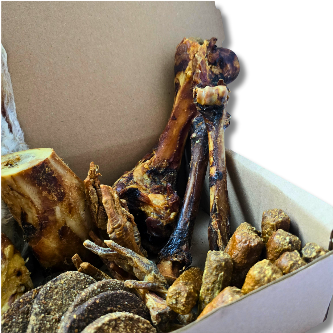35 Piece All Natural Large Chewers Treat Box | Natural Dog Chews UK | Funky Paws Co