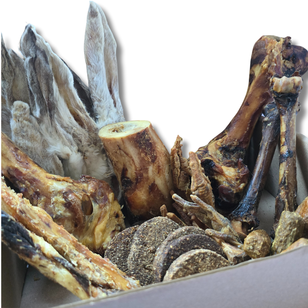 35 Piece All Natural Large Chewers Treat Box | Natural Dog Chews UK | Funky Paws Co