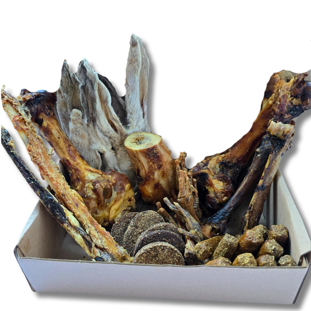 35 Piece All Natural Large Chewers Treat Box | Natural Dog Chews UK | Funky Paws Co