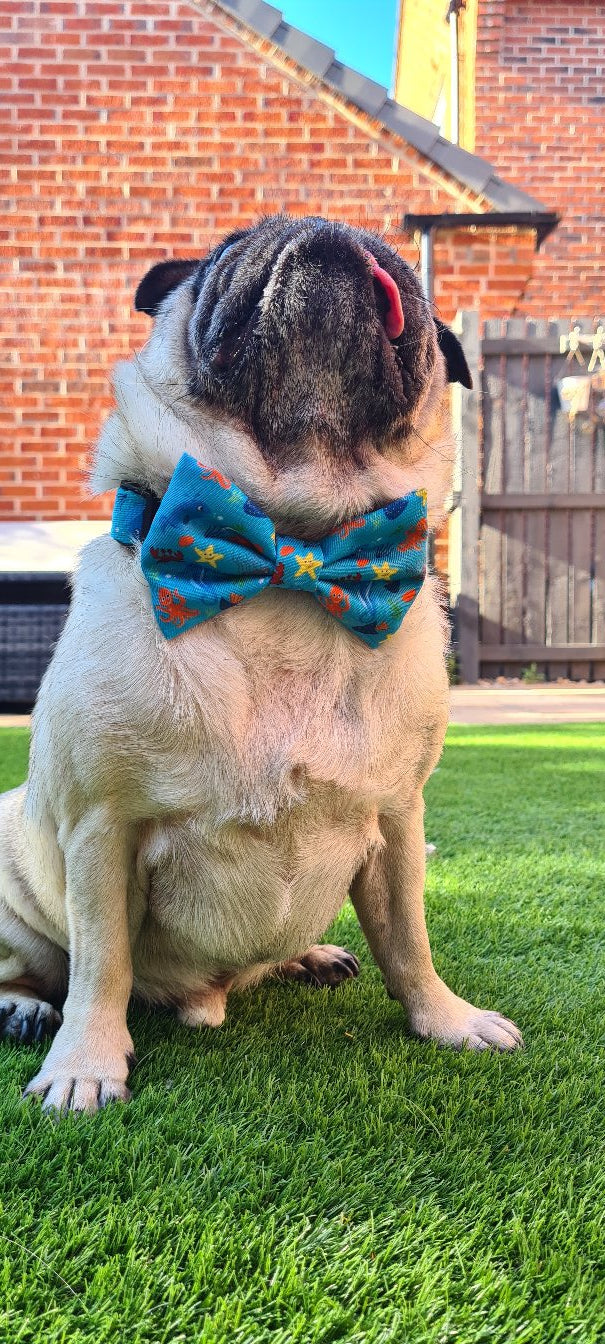 Collar & Bowtie - Sealife