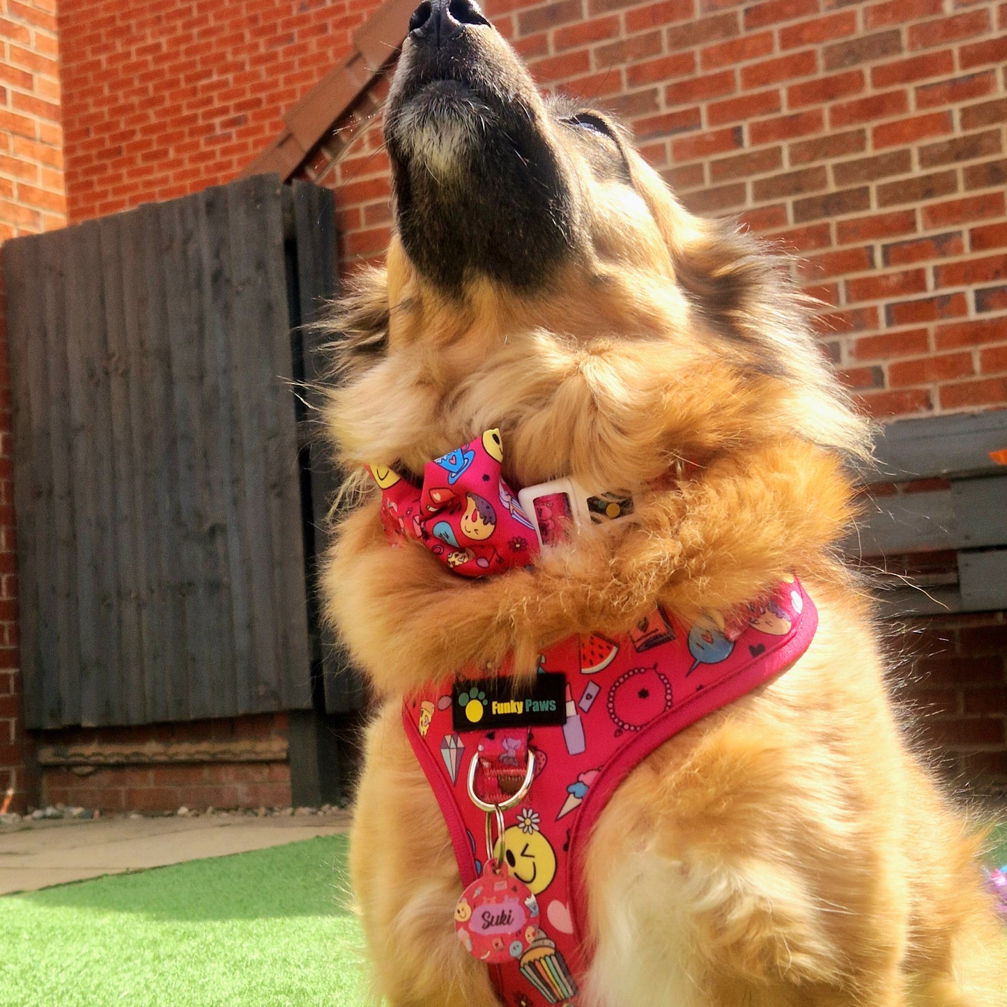 Adjustable Harness - Girls BFF's