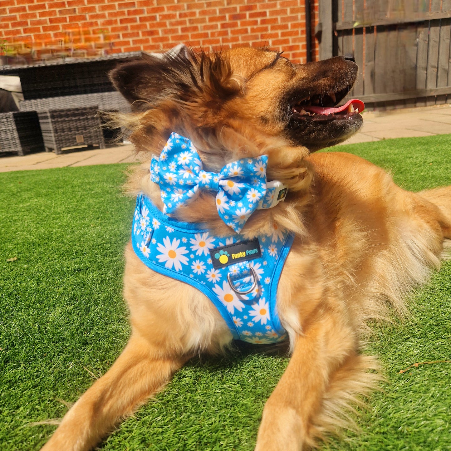 Adjustable Harness - Cool Daisy