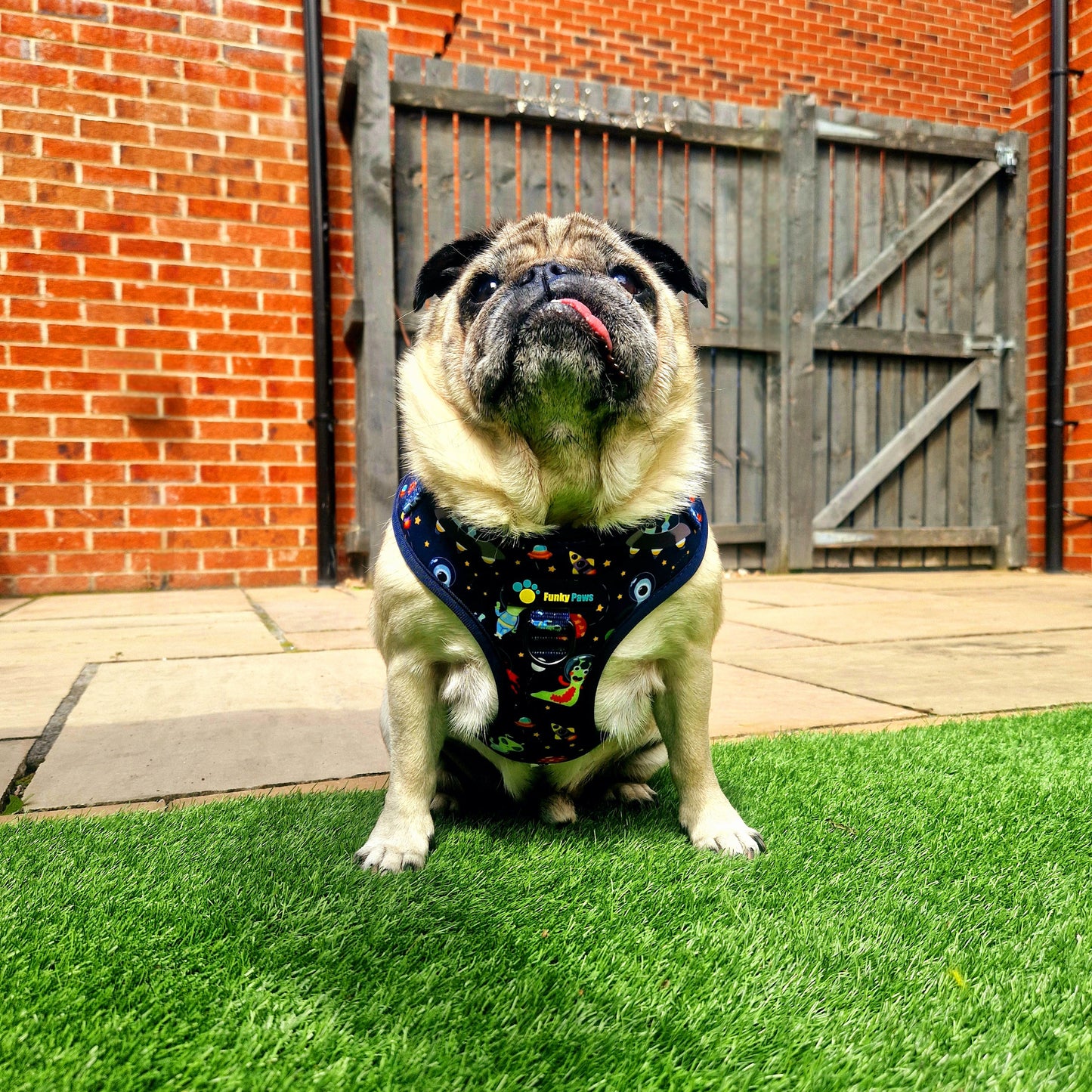 Adjustable Harness - Outer Space