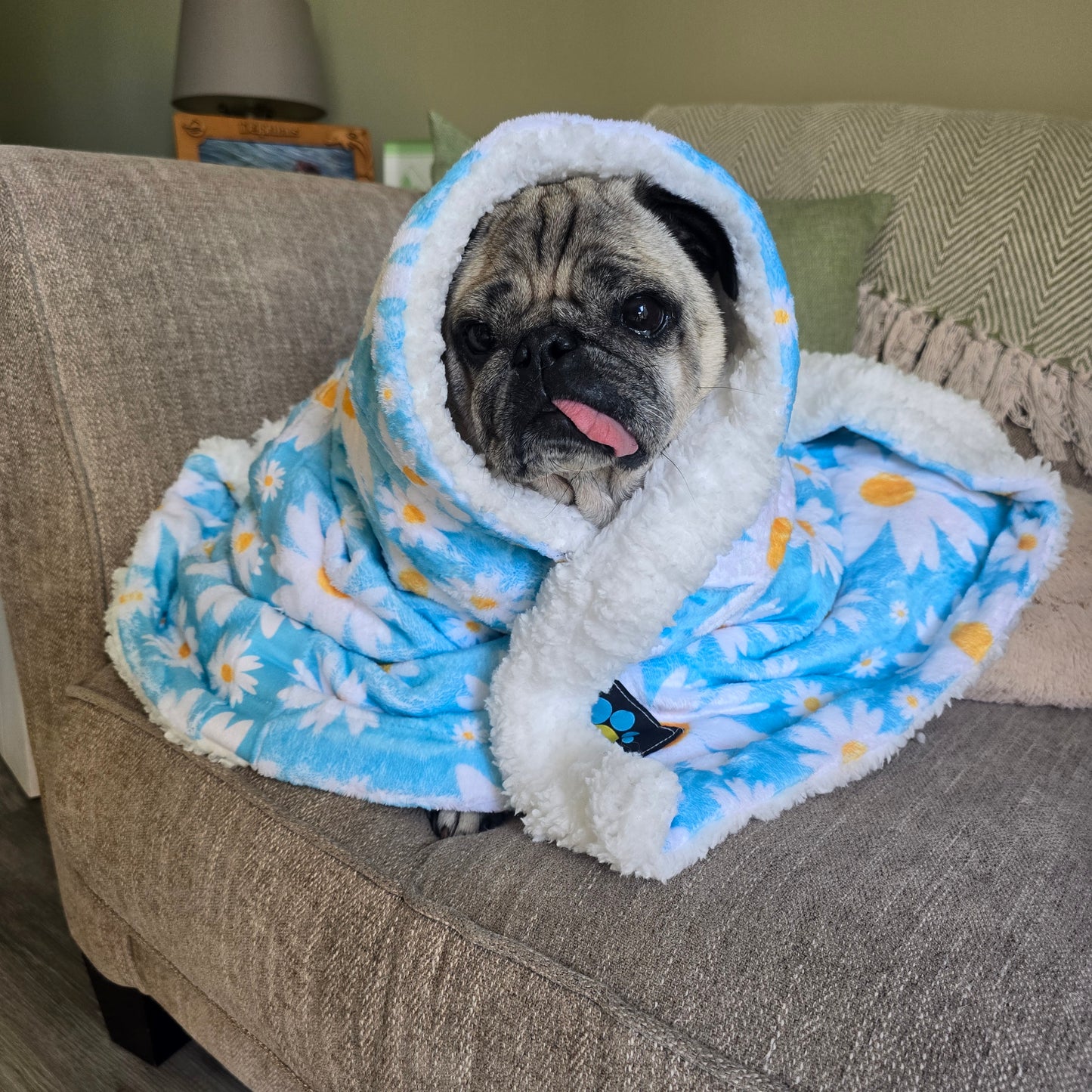 Cool Daisy Blanket
