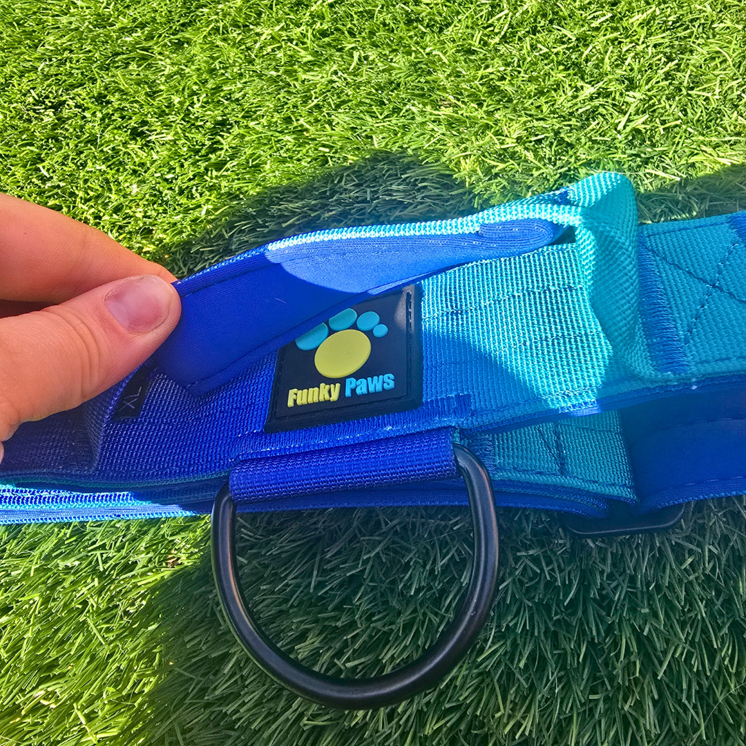 Blue Ultimate Strength Collar – Strength, Comfort & Safety for Every Pup