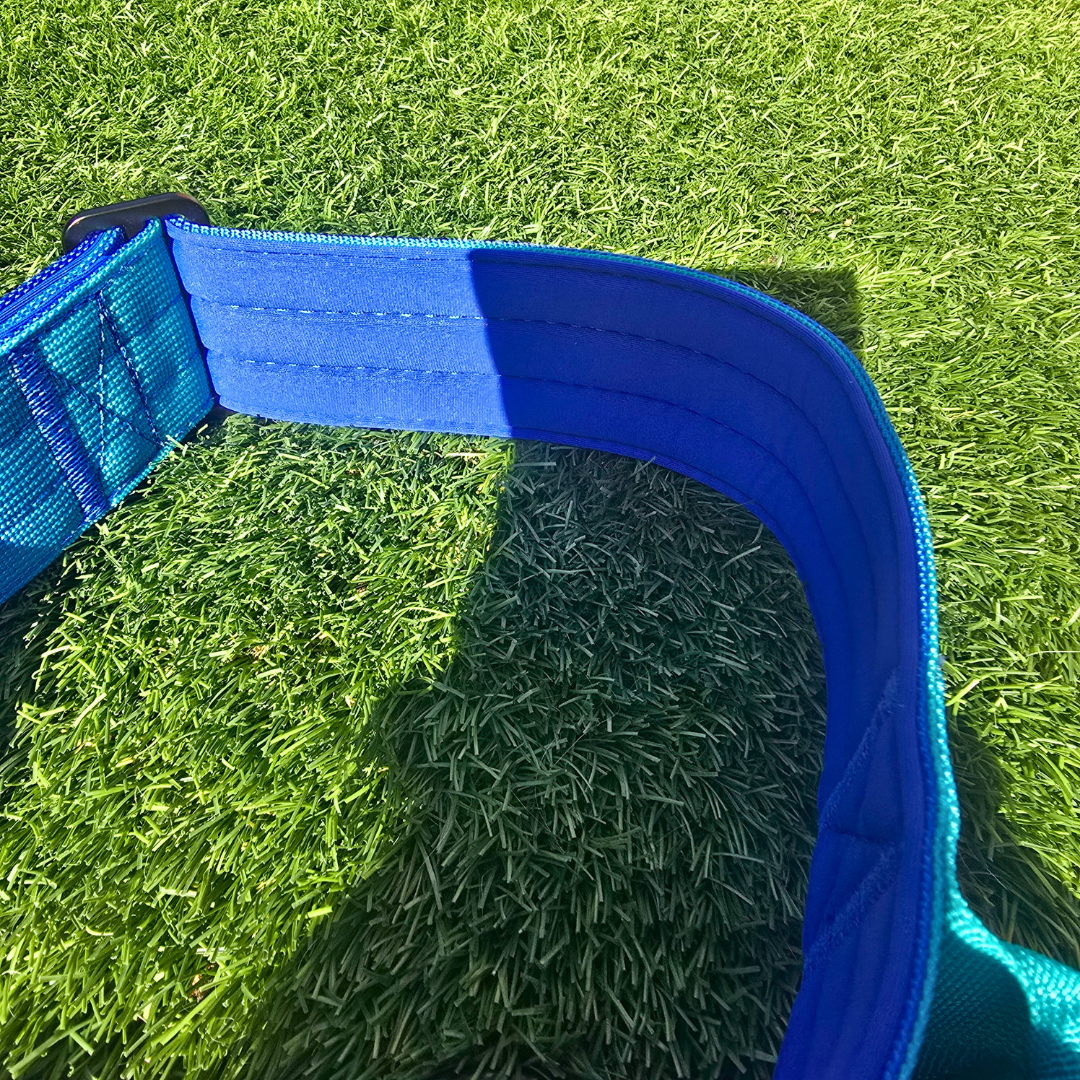 Blue Ultimate Strength Collar – Strength, Comfort & Safety for Every Pup