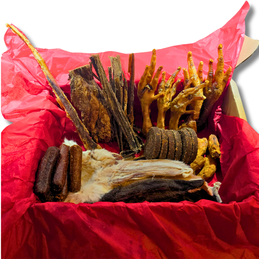 27 Piece Deluxe Protein Box | High Protein Natural Dog Treats UK | Funky Paws Co