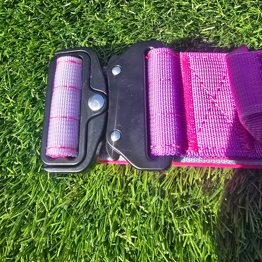 Pink Ultimate Strength Collar – Strength, Comfort & Safety for Every Pup