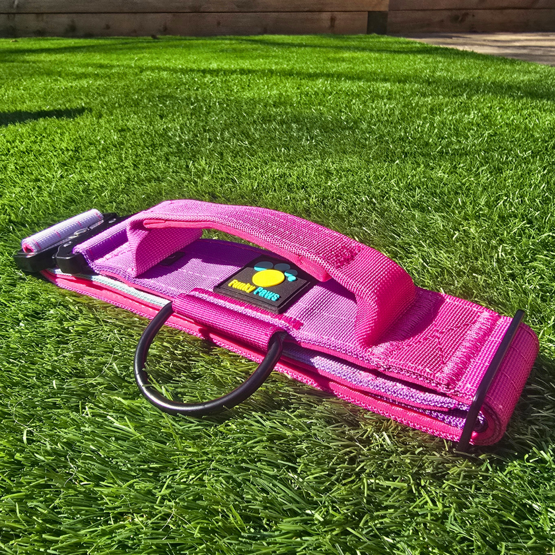 Pink Ultimate Strength Collar – Strength, Comfort & Safety for Every Pup