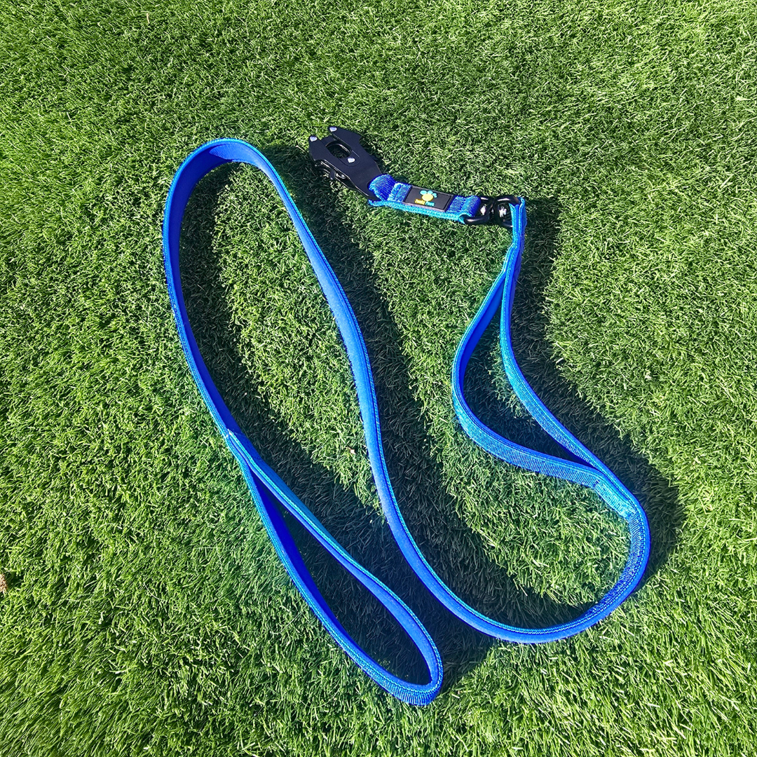 Blue Ultimate Strength Lead – Lightweight, Strong, and Ready for Adventure