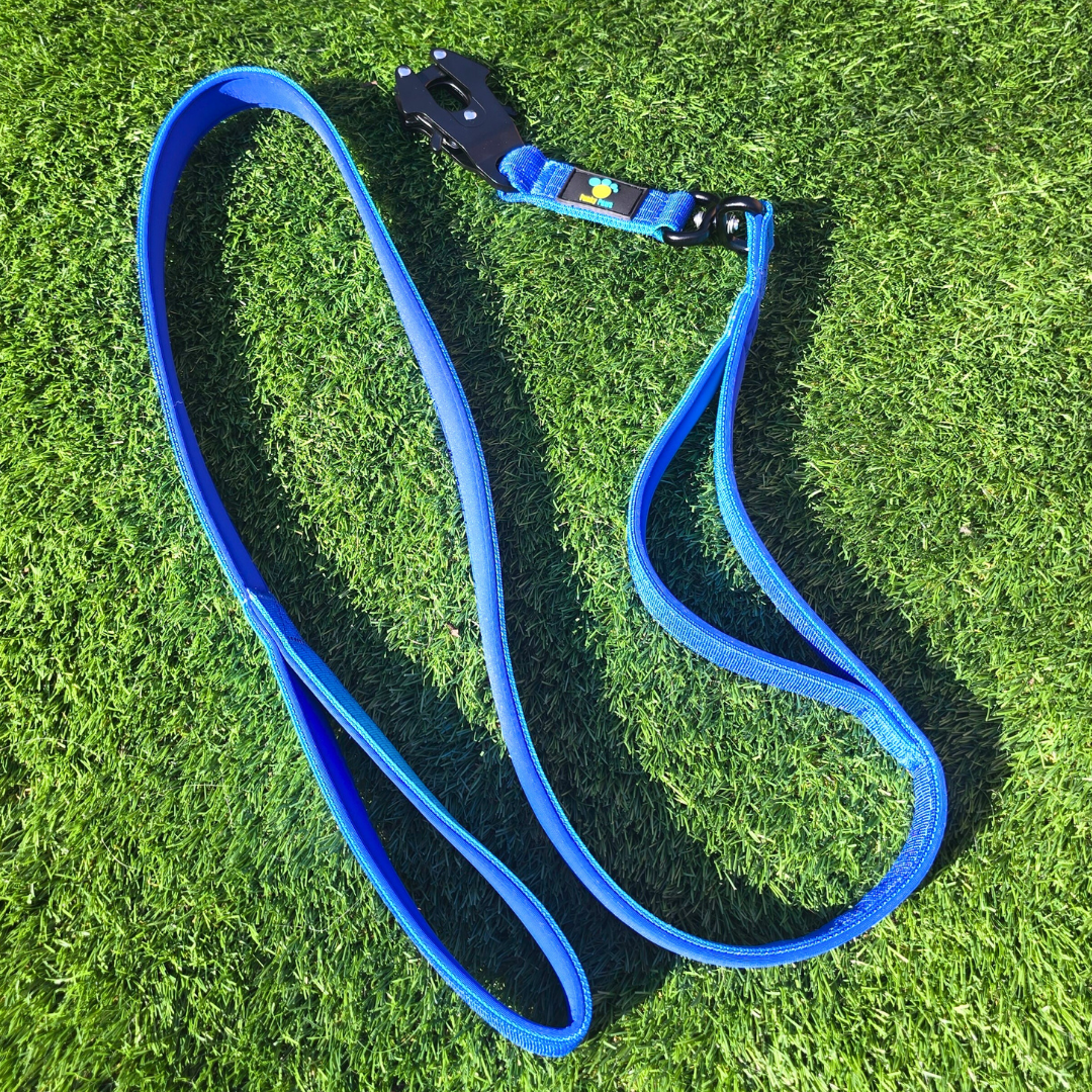 Blue Ultimate Strength Lead – Lightweight, Strong, and Ready for Adventure