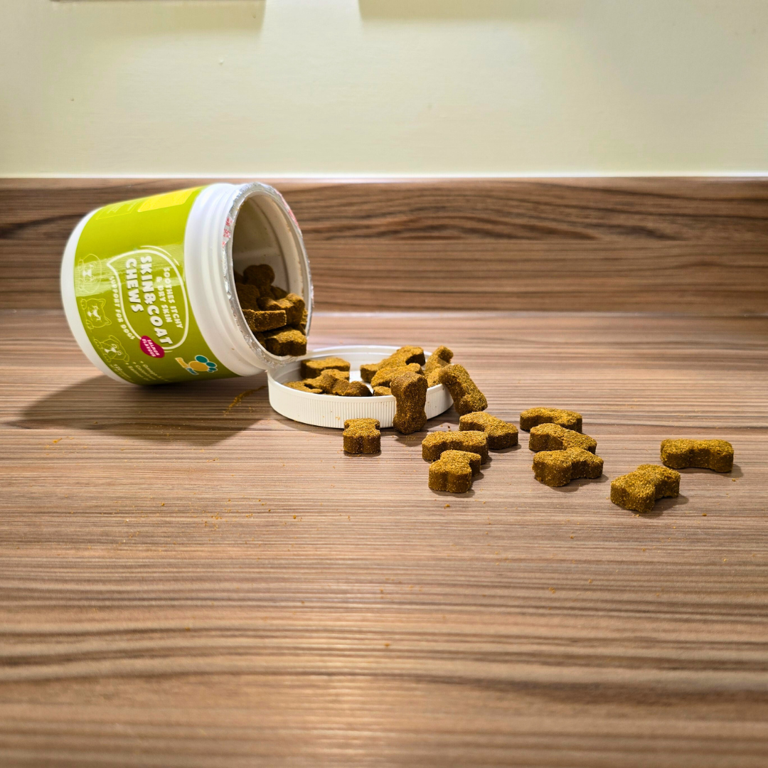 Skin & Coat Chews for Dogs | Shiny Coat Supplement UK | Funky Paws Co
