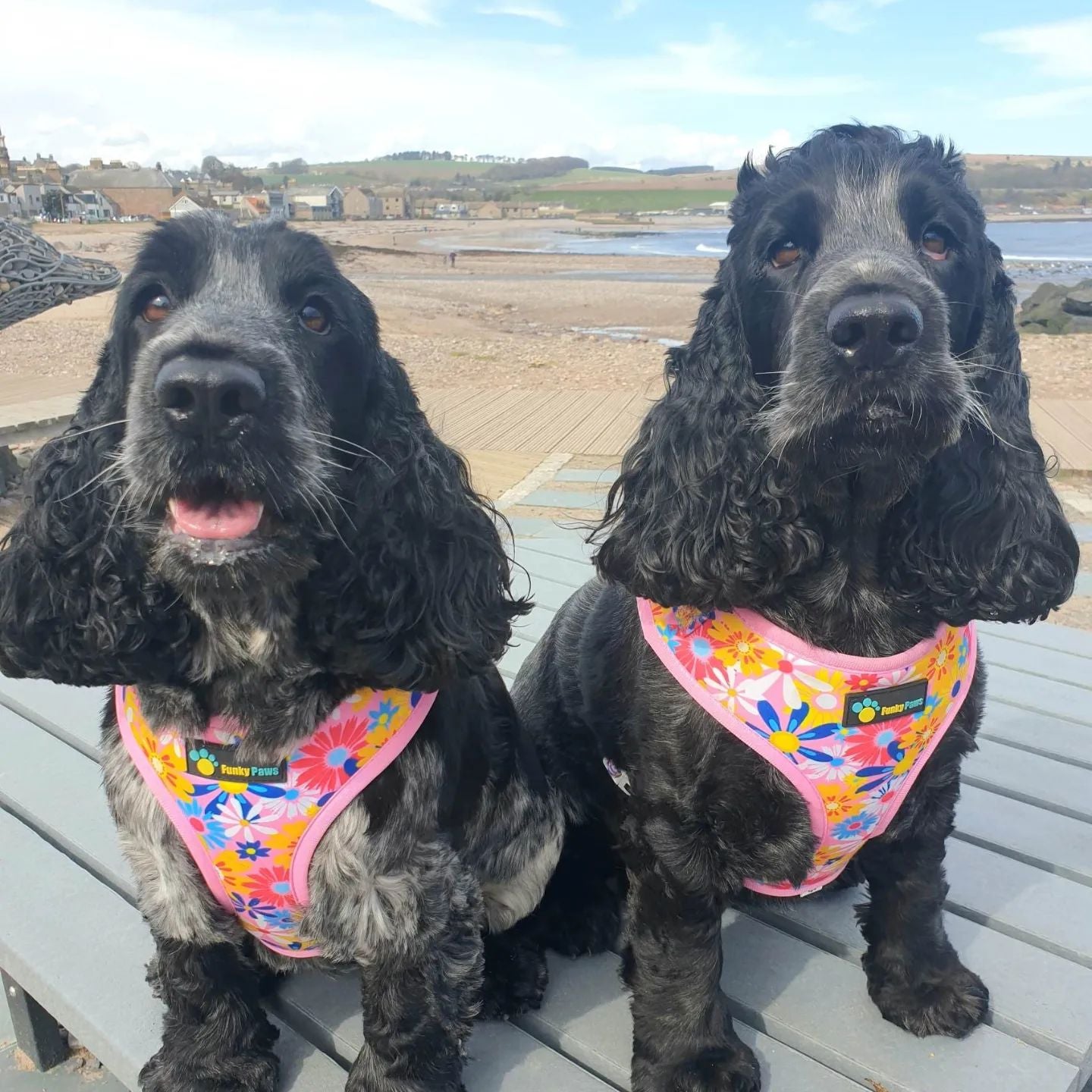 Collar & Bowtie - Flowers
