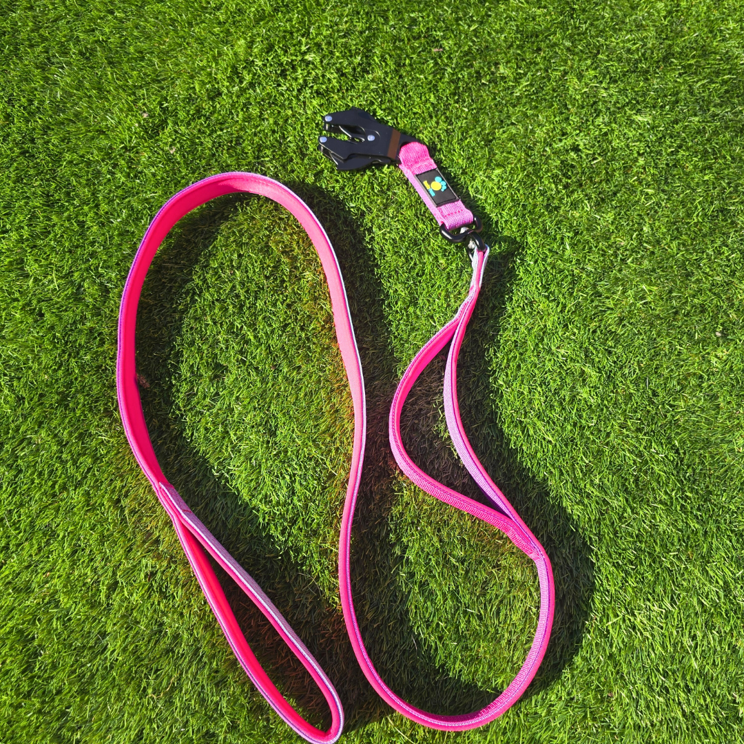 Pink Ultimate Strength Lead – Lightweight, Strong, and Ready for Adventure