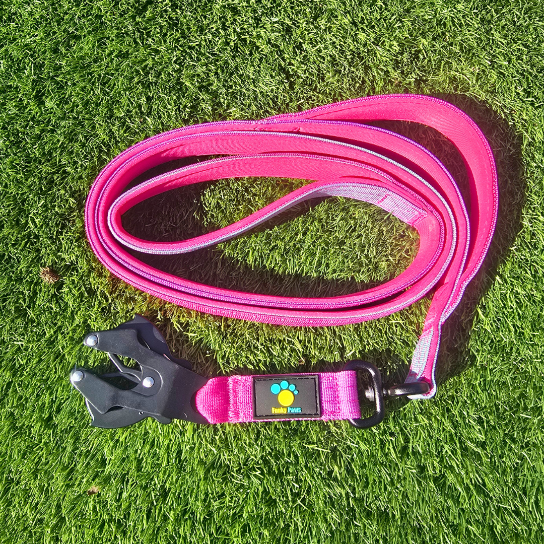 Pink Ultimate Strength Lead – Lightweight, Strong, and Ready for Adventure