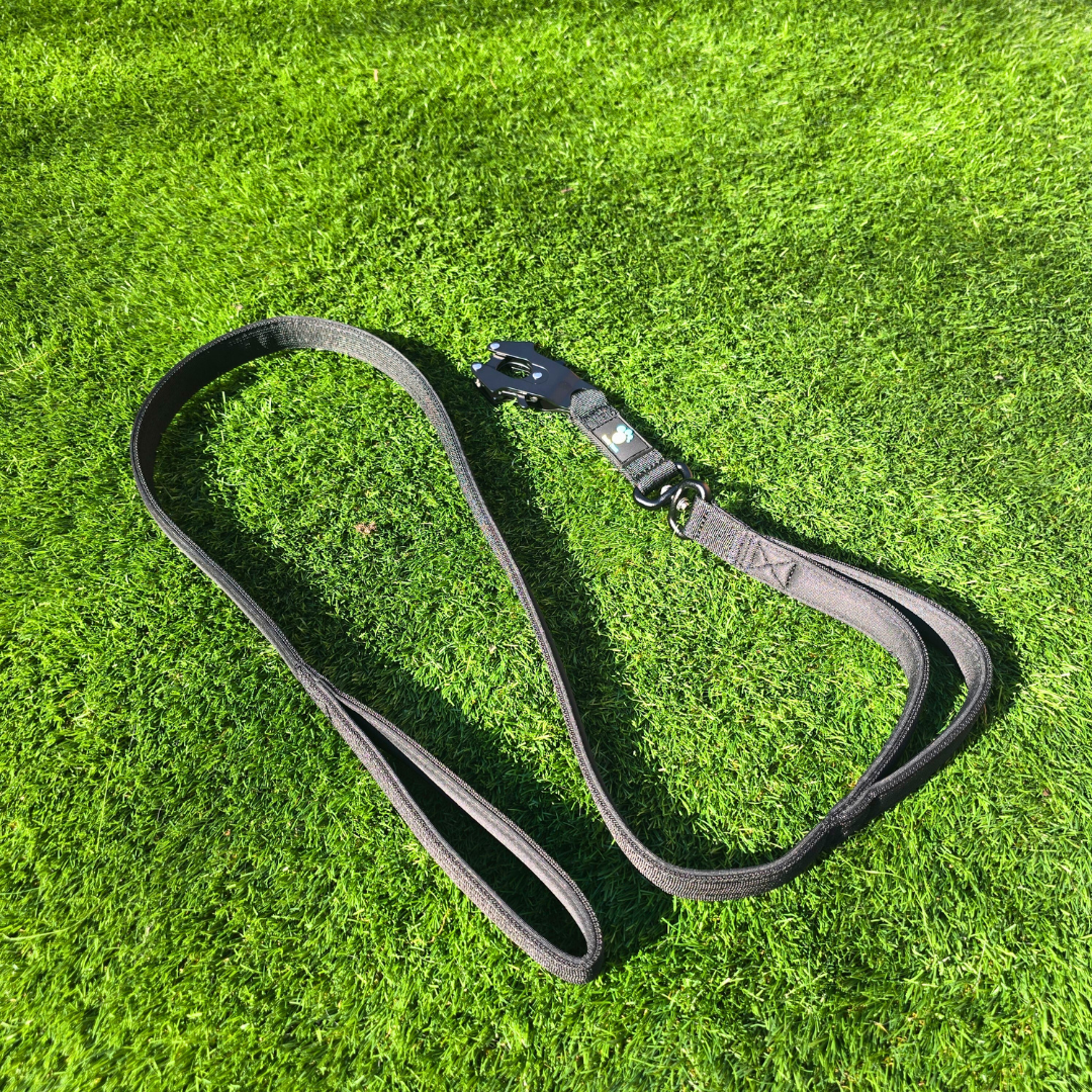 Black Ultimate Strength Lead – Lightweight, Strong, and Ready for Adventure