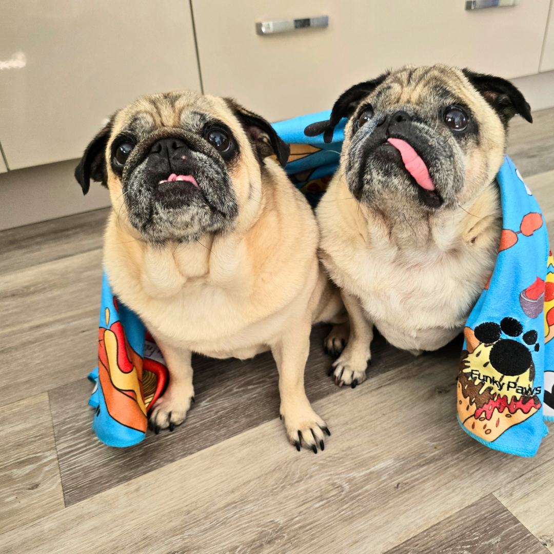 Dog Towel - Funky Foodie