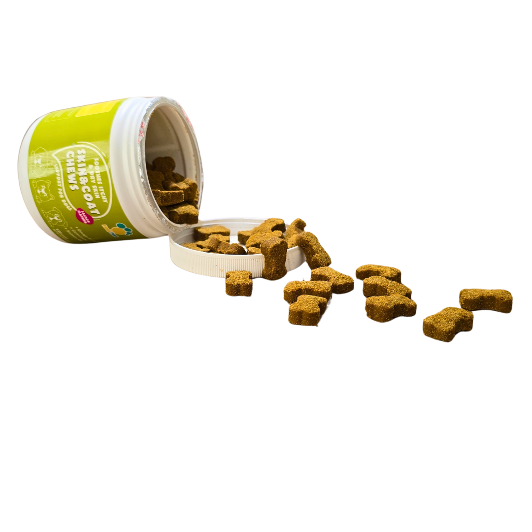 Skin & Coat Chews for Dogs | Shiny Coat Supplement UK | Funky Paws Co