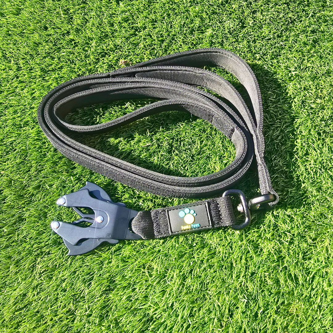 Black Ultimate Strength Lead – Lightweight, Strong, and Ready for Adventure