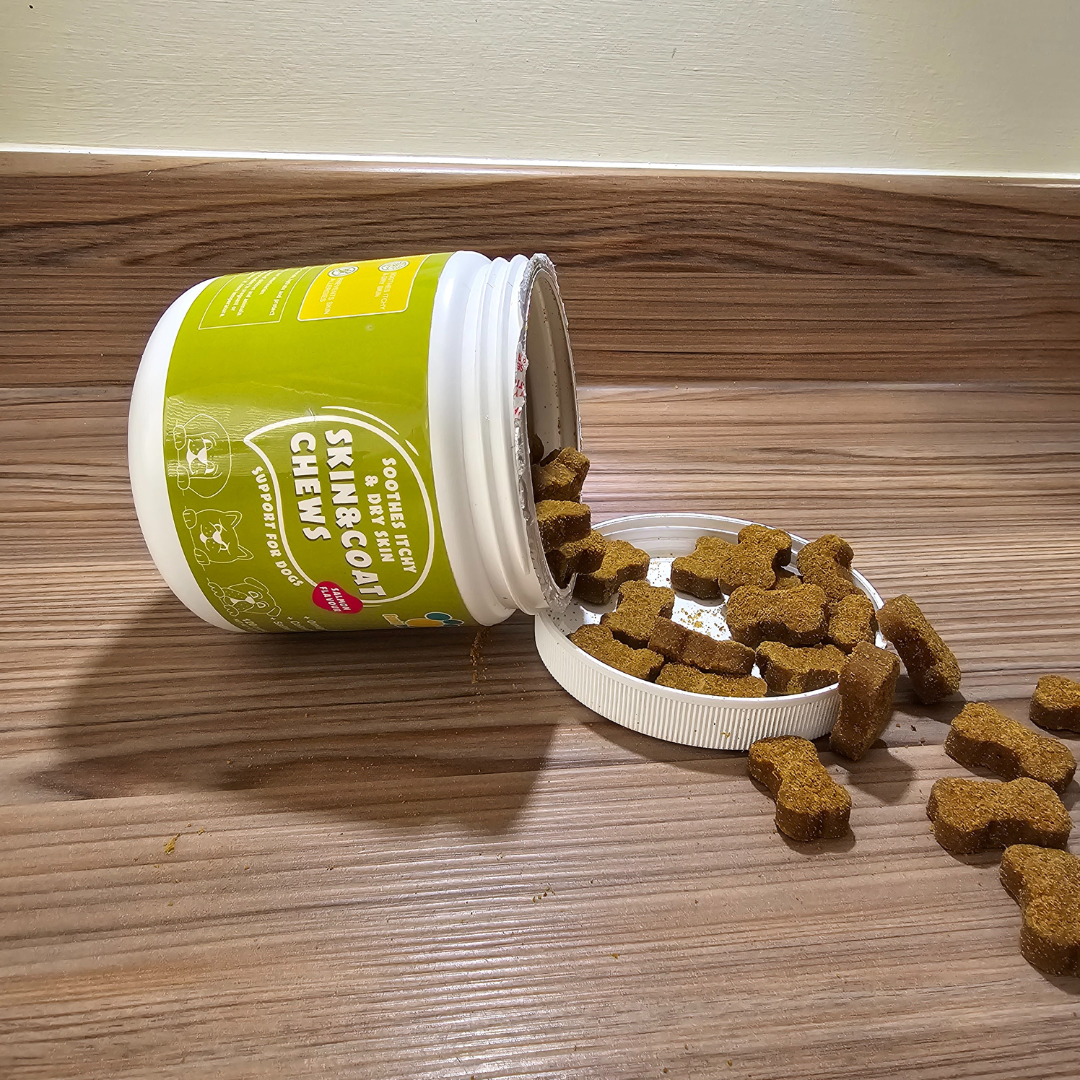 Skin & Coat Chews for Dogs | Shiny Coat Supplement UK | Funky Paws Co