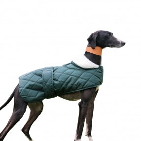 Hound Coat