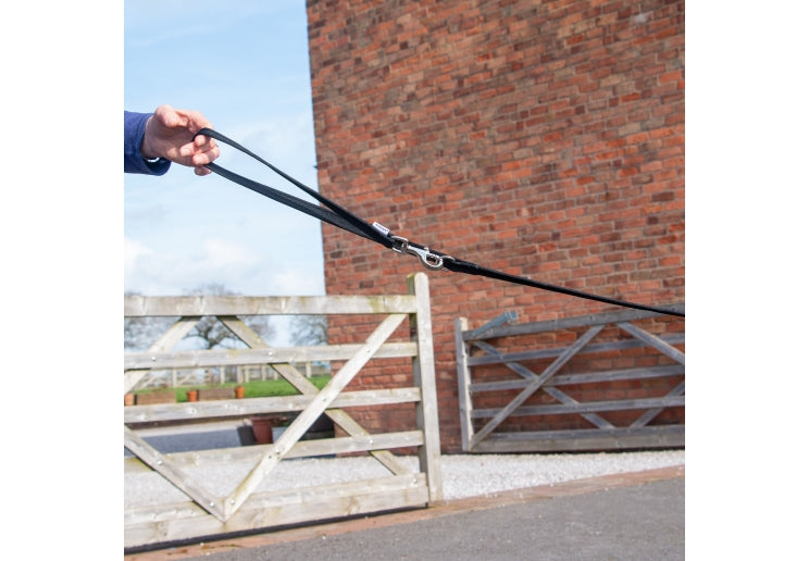 Ancol Multi-Way Training Lead