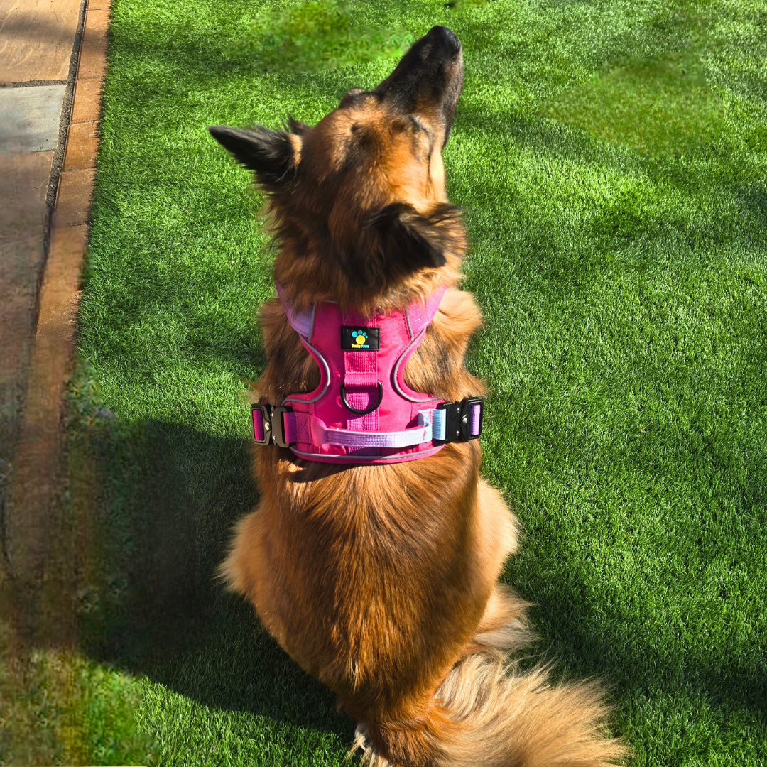 Pink Ultimate Strength Harness – Built for Power, Designed for Comfort