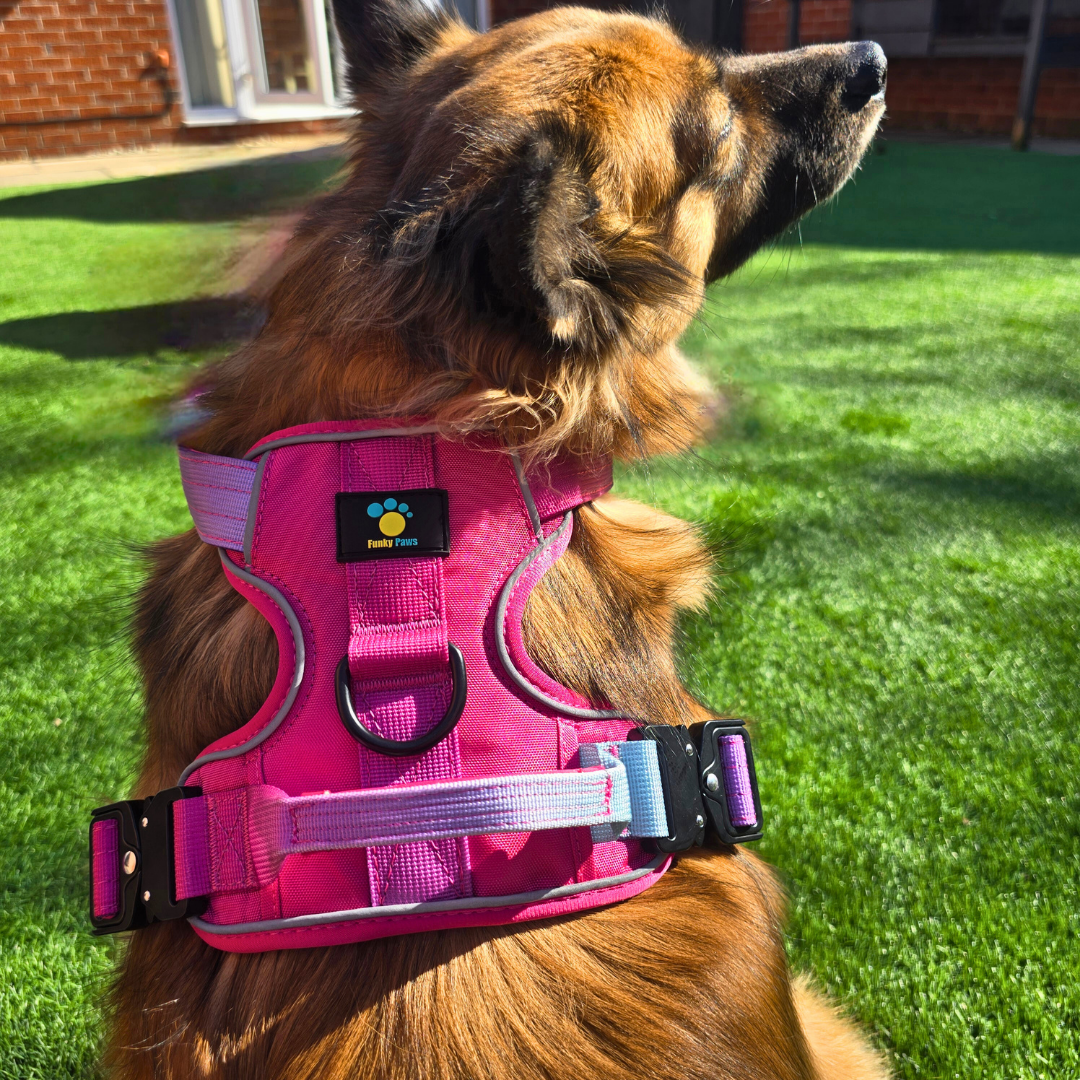 Pink Ultimate Strength Harness – Built for Power, Designed for Comfort