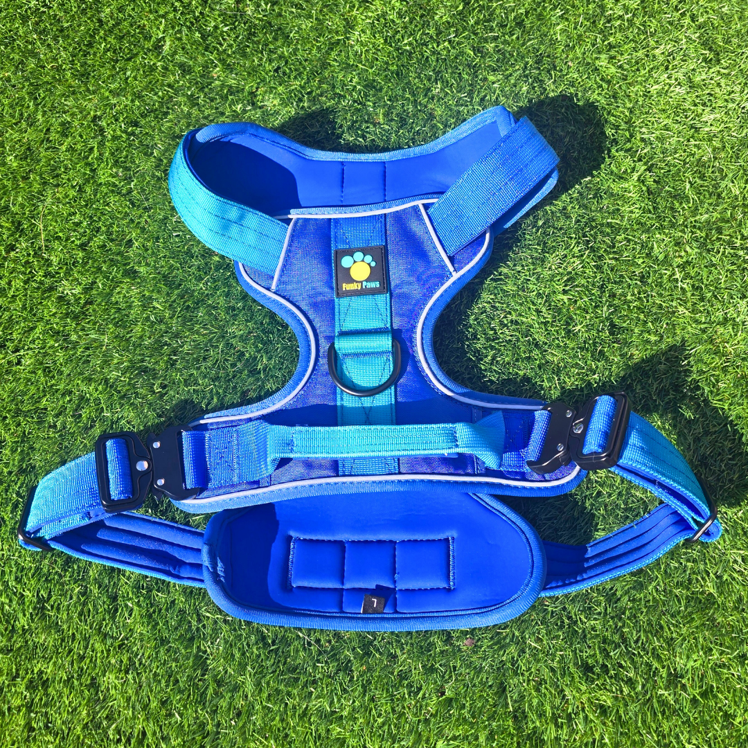 Blue Ultimate Strength Harness – Built for Power, Designed for Comfort
