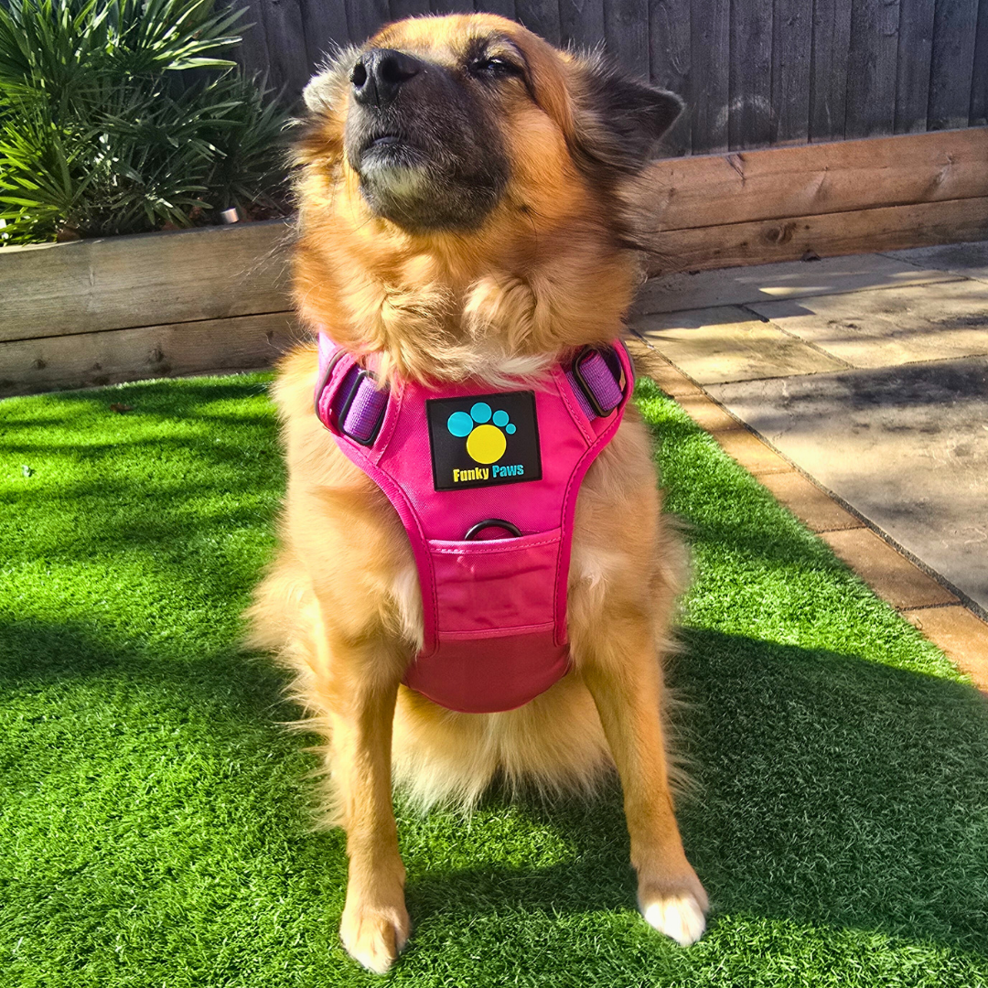 Pink Ultimate Strength Harness – Built for Power, Designed for Comfort