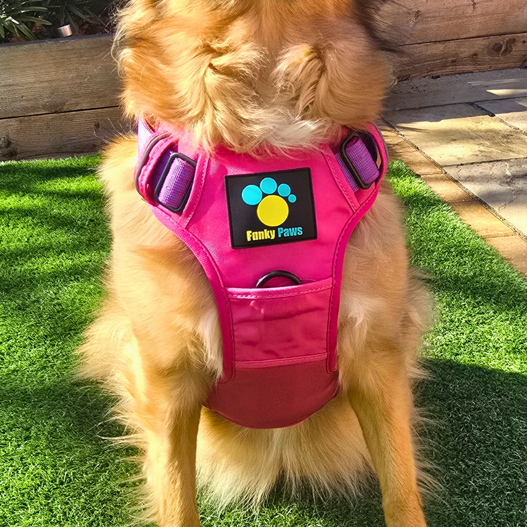 Pink Ultimate Strength Harness – Built for Power, Designed for Comfort