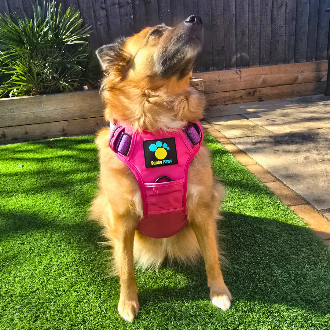 Pink Ultimate Strength Harness – Built for Power, Designed for Comfort