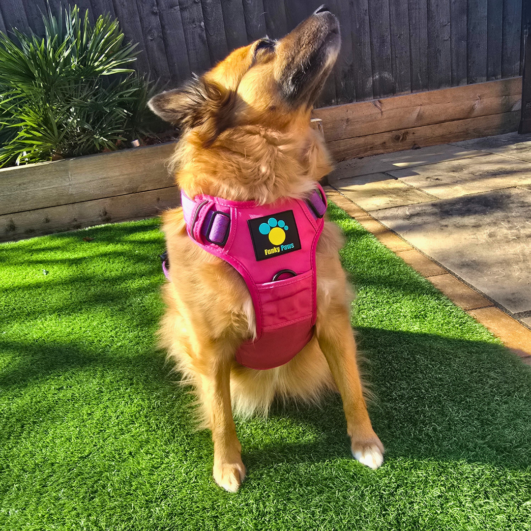 Pink Ultimate Strength Harness – Built for Power, Designed for Comfort