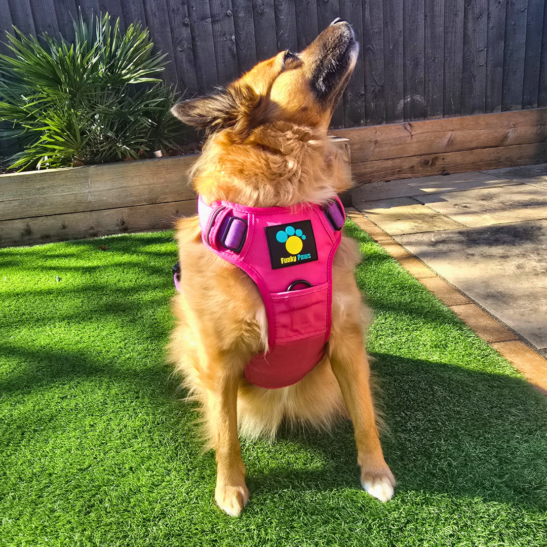 Pink Ultimate Strength Harness – Built for Power, Designed for Comfort
