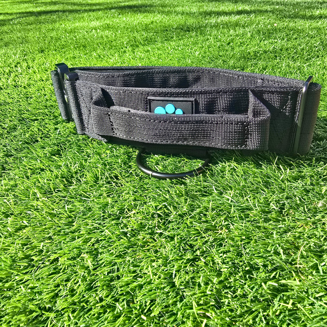 Black Ultimate Strength Collar – Strength, Comfort & Safety for Every Pup