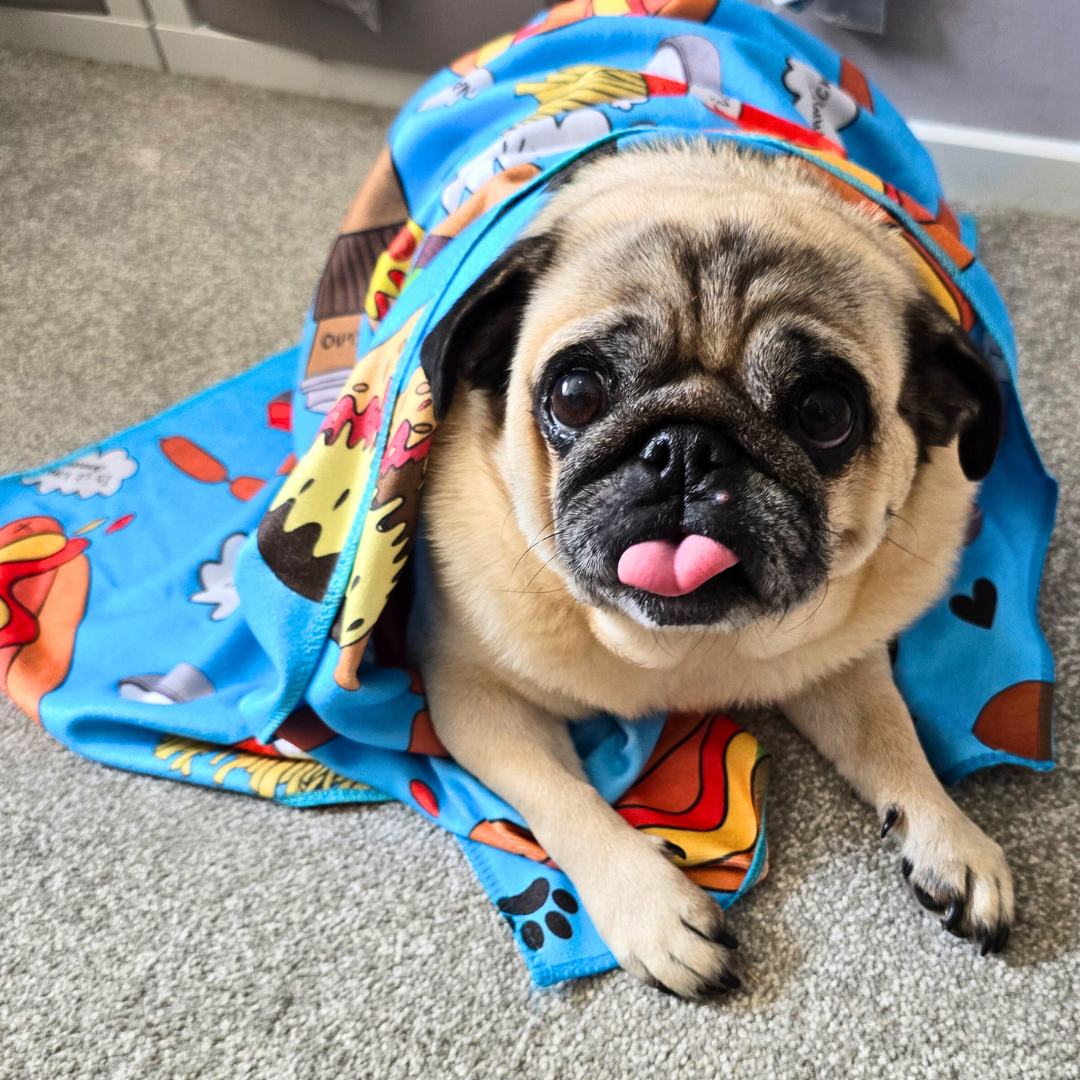 Dog Towel - Funky Foodie