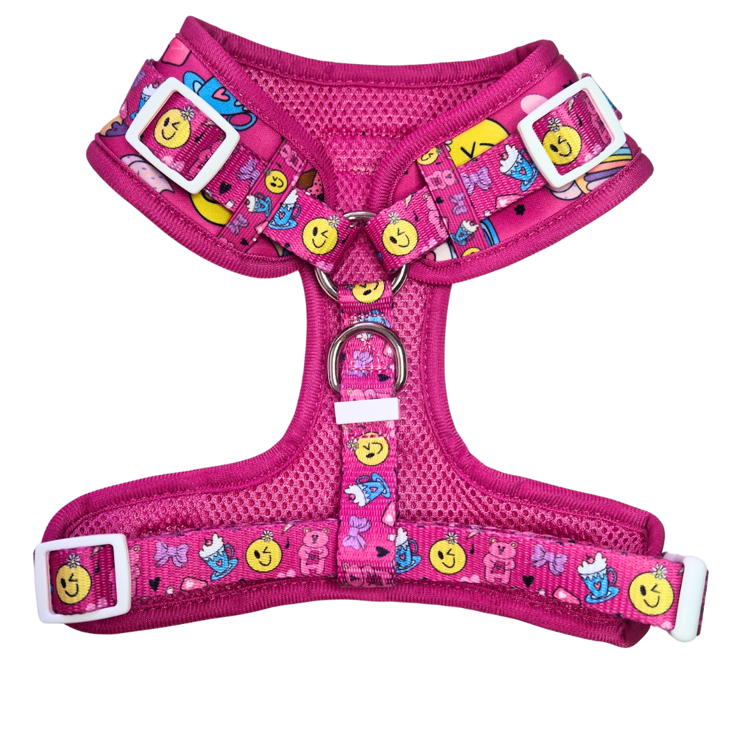 Girls BFF's Bundle