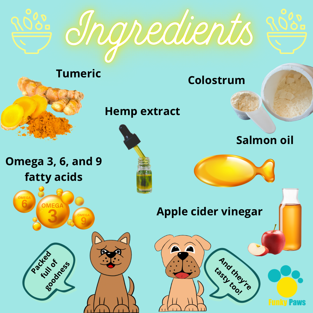 Skin & Coat Chews for Dogs | Shiny Coat Supplement UK | Funky Paws Co