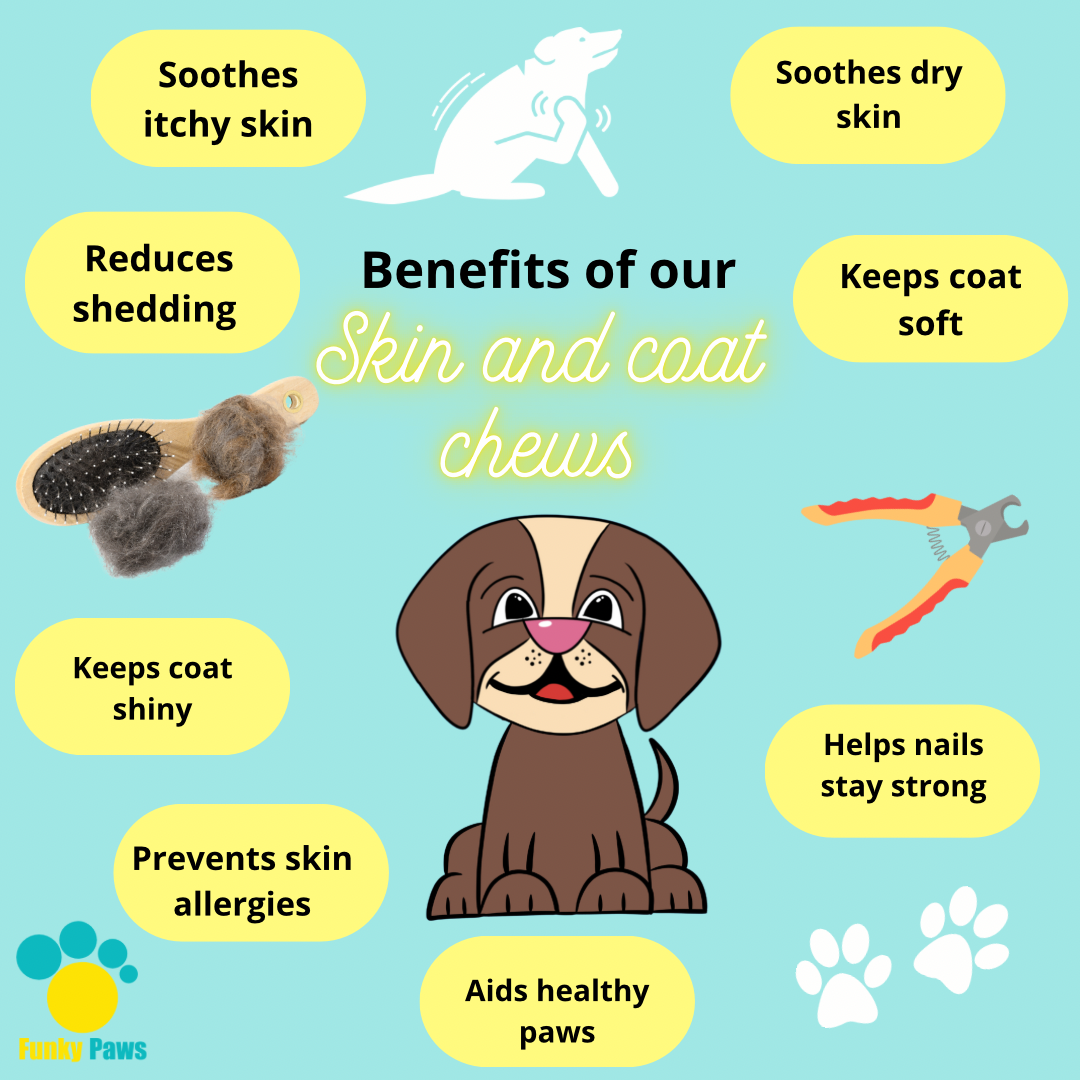 Skin & Coat Chews for Dogs | Shiny Coat Supplement UK | Funky Paws Co