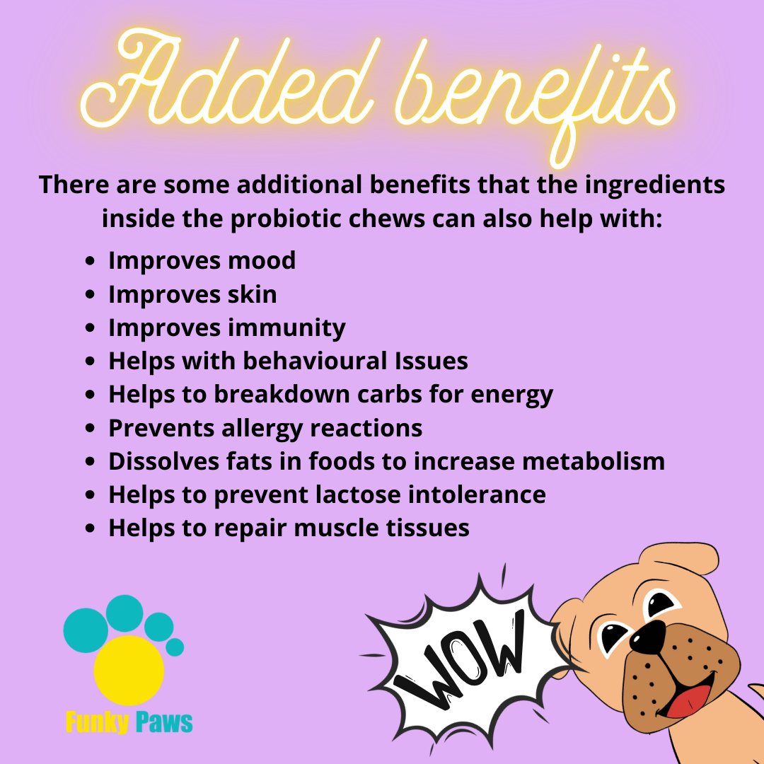 Probiotic Chews for Dogs | Digestive Health Supplement UK | Funky Paws Co