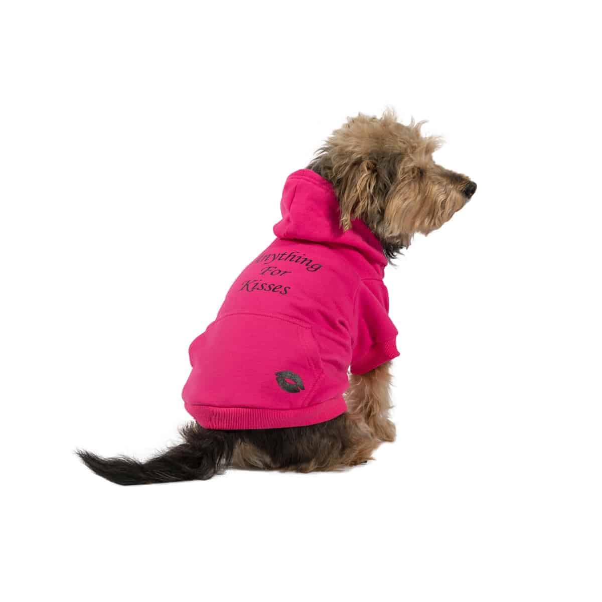 Pink Kisses Dog Hoodie